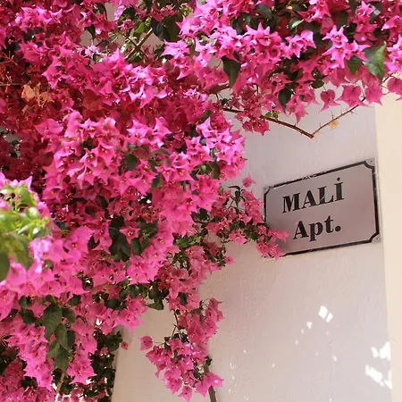 Mali Apartment *